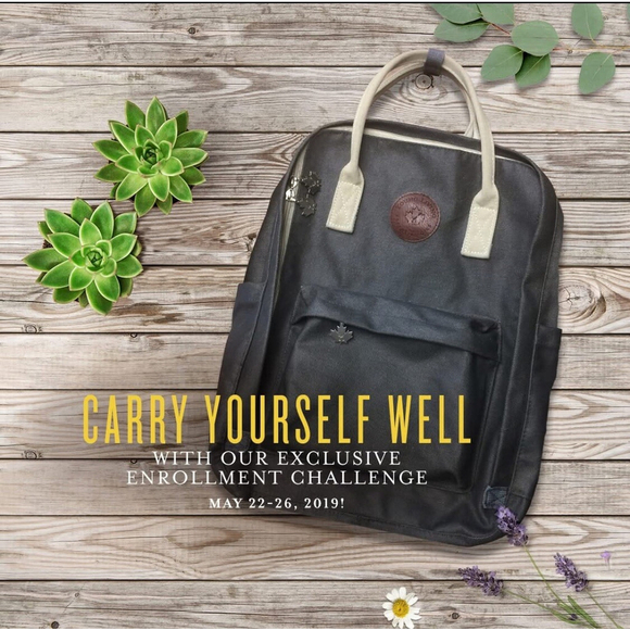 Young Living essential oils backpack 16” - Picture 11 of 11